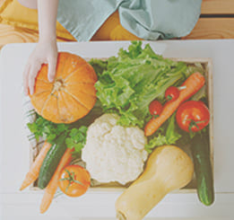 imagem de legumes sobre a mesa, abobora, cenoura, couve flor, tomates e folhas